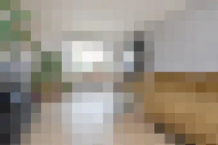 Willem Klooslaan 36 Voorburg thumbnail 17