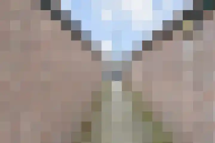 Willem Klooslaan 36 Voorburg thumbnail 30