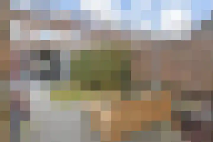Willem Klooslaan 36 Voorburg thumbnail 31