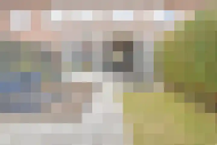 Willem Klooslaan 36 Voorburg thumbnail 32