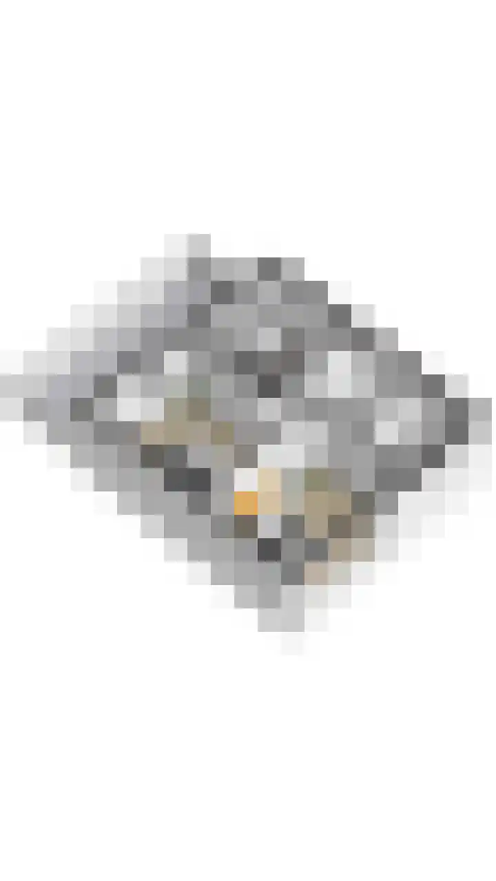 Willem Klooslaan 36 Voorburg thumbnail 34