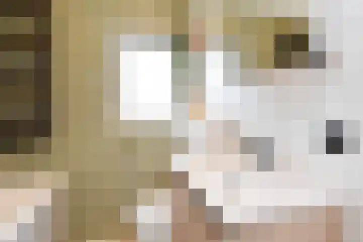 Willem Klooslaan 36 Voorburg thumbnail 42