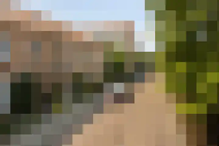 Willem Klooslaan 39 in Voorburg