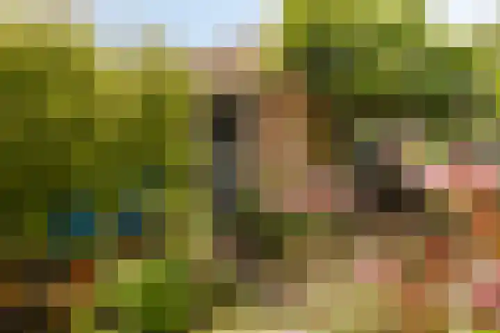 Willem Klooslaan 39 Voorburg thumbnail 33