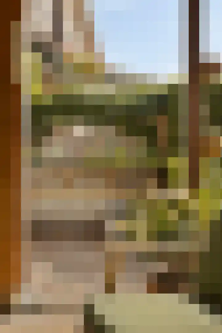 Willem Klooslaan 39 Voorburg thumbnail 34
