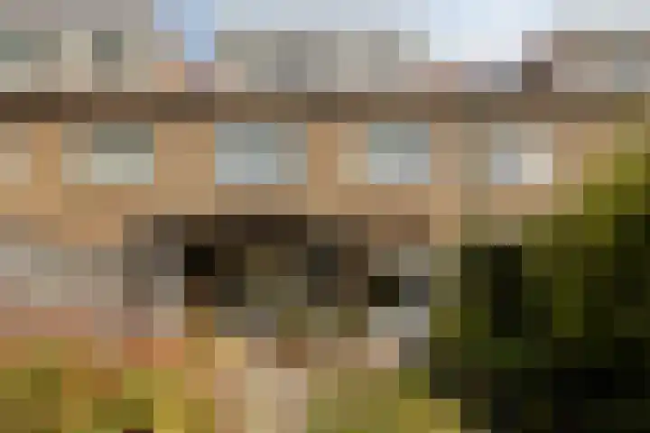 Willem Klooslaan 39 Voorburg thumbnail 36
