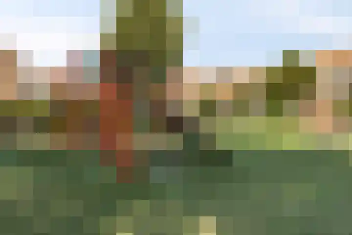 Willem Klooslaan 39 Voorburg thumbnail 37