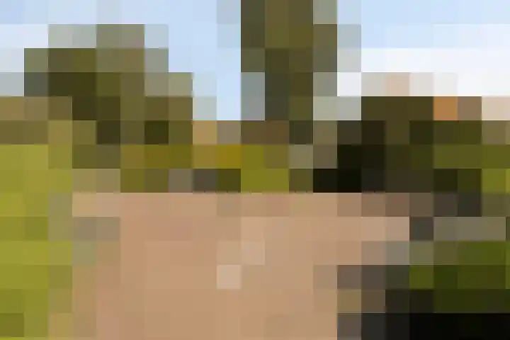 Willem Klooslaan 39 Voorburg thumbnail 38
