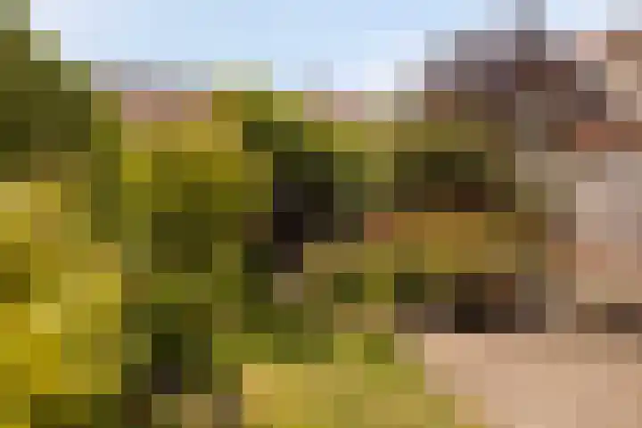 Willem Klooslaan 39 Voorburg thumbnail 5