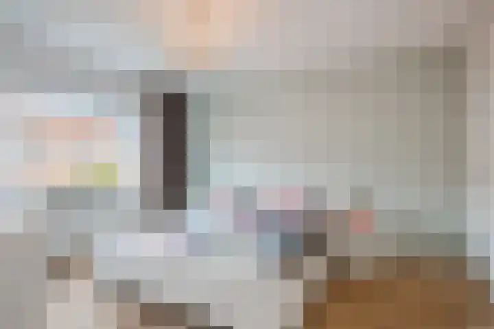 Willem Klooslaan 44 Eindhoven thumbnail 22
