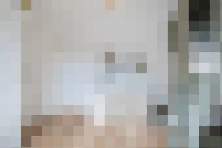 Willem Klooslaan 44 Eindhoven thumbnail 24