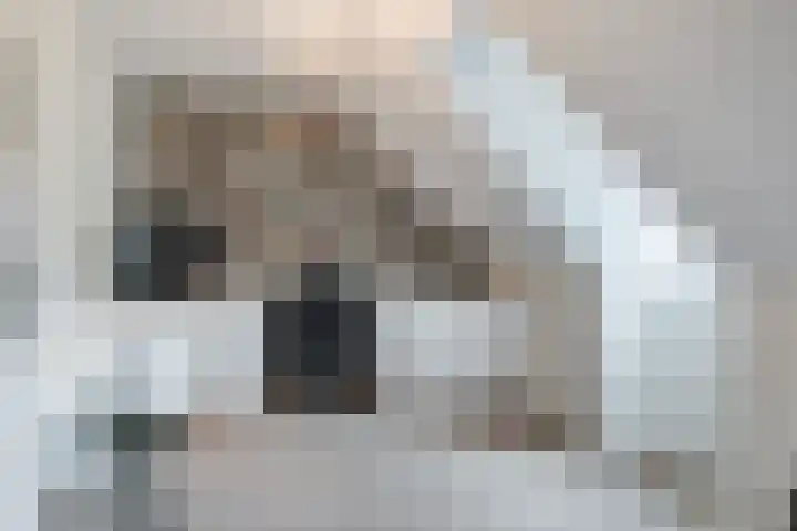 Willem Klooslaan 44 Eindhoven thumbnail 31