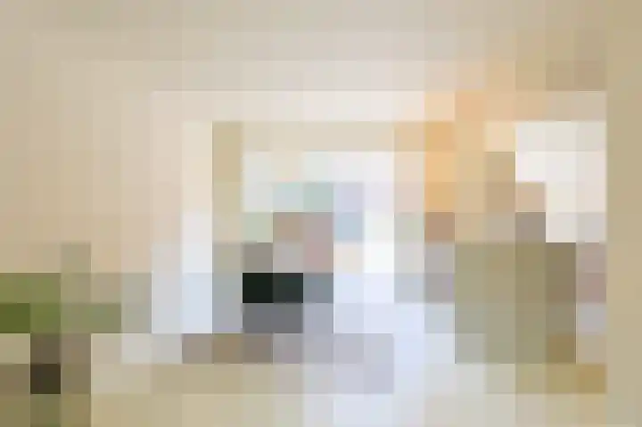 Willem Klooslaan 48 Eindhoven thumbnail 13
