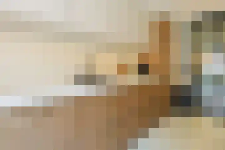 Willem Klooslaan 48 Eindhoven thumbnail 18
