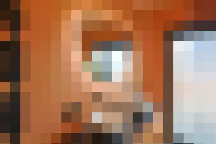 Willem Klooslaan 48 Eindhoven thumbnail 35
