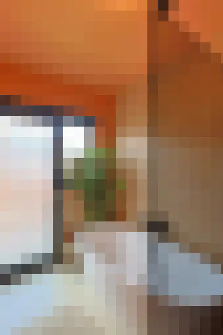 Willem Klooslaan 48 Eindhoven thumbnail 37