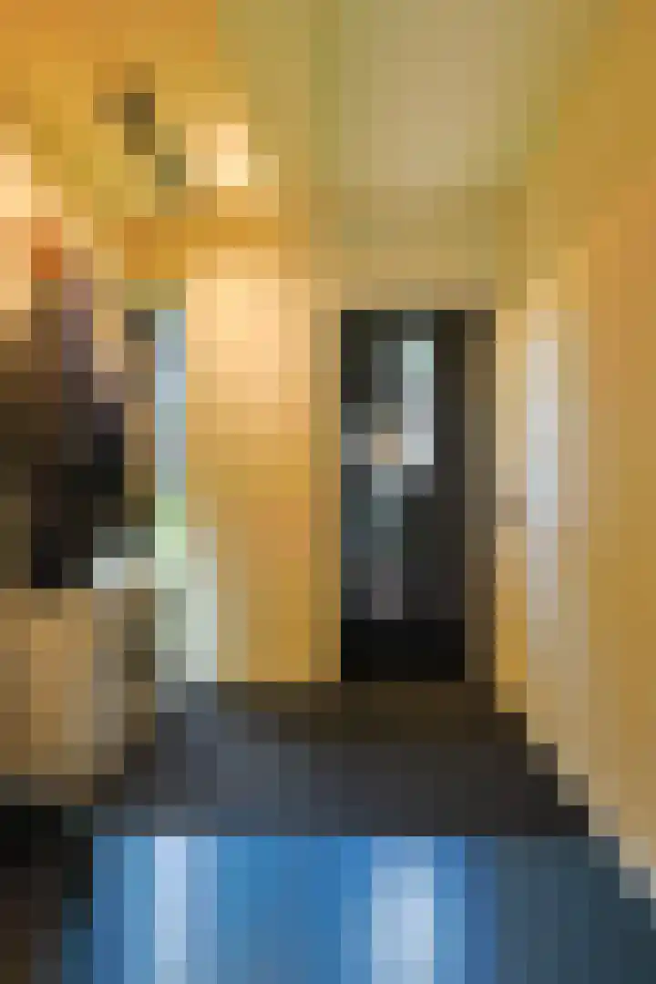 Willem Klooslaan 48 Eindhoven thumbnail 6