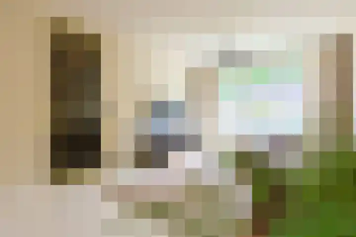 Willem Klooslaan 48 Eindhoven thumbnail 9