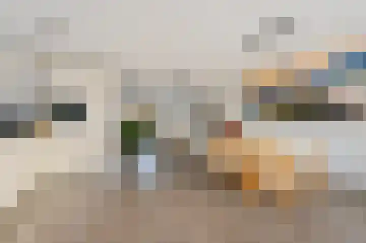Willem Klooslaan 5 Voorburg thumbnail 14