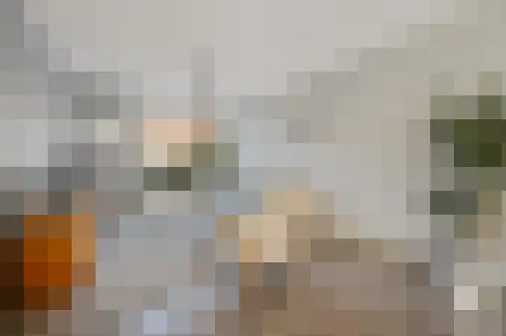 Willem Klooslaan 5 Voorburg thumbnail 9