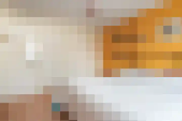 Willem Klooslaan 50 Voorburg thumbnail 20