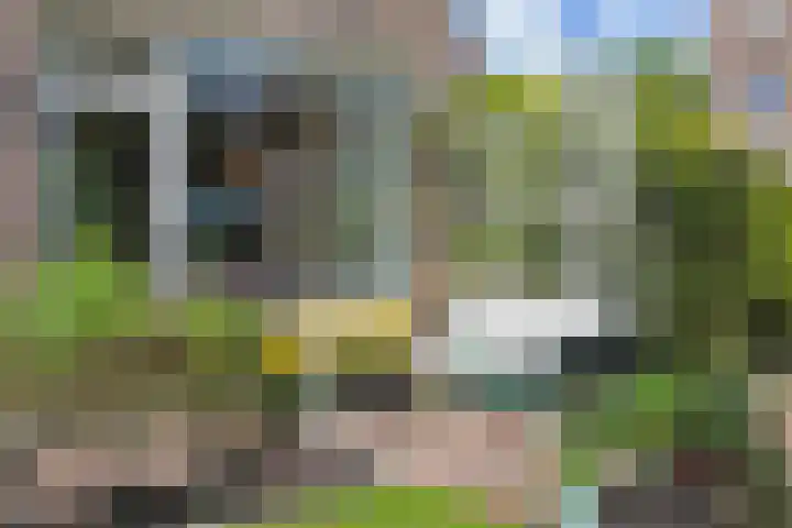 Willem Klooslaan 50 Voorburg thumbnail 34