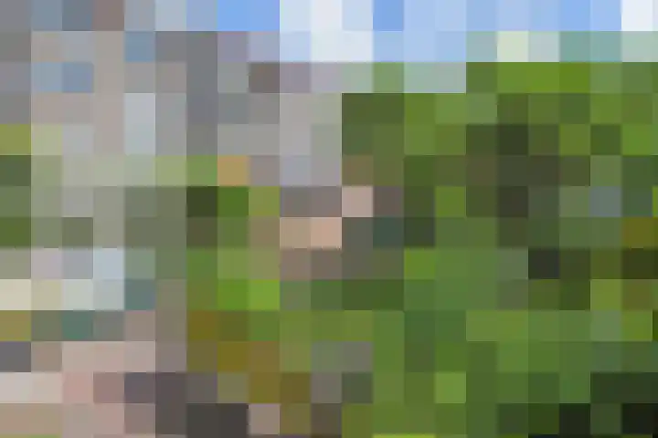 Willem Klooslaan 50 Voorburg thumbnail 35