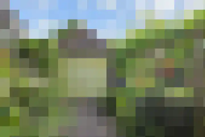 Willem Klooslaan 50 Voorburg thumbnail 37