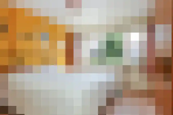 Willem Klooslaan 50 Voorburg thumbnail 4
