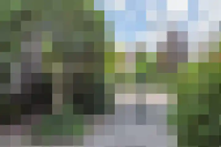 Willem Klooslaan 50 Voorburg thumbnail 48