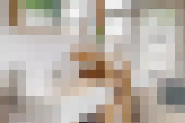 Willem Klooslaan 63 Uithoorn thumbnail 15