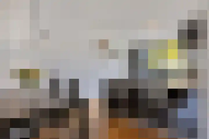Willem Kloospad 17 's-Hertogenbosch thumbnail 11