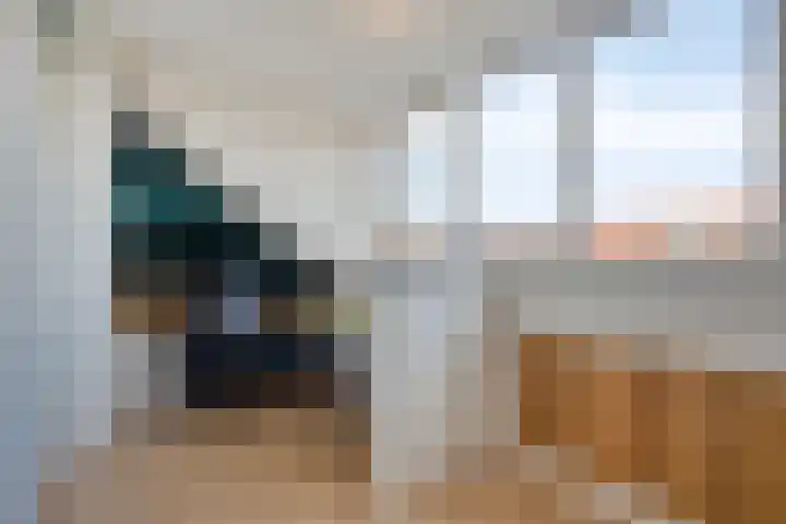 Willem Kloospad 17 's-Hertogenbosch thumbnail 28
