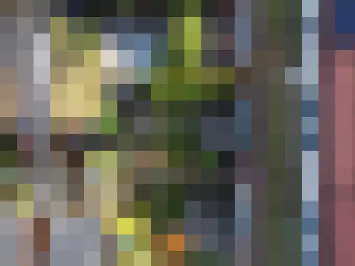 Willem Kloospad 17 's-Hertogenbosch thumbnail 32