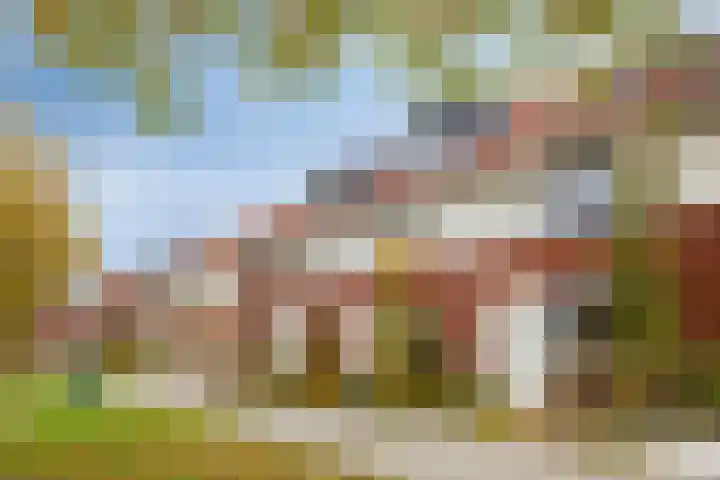 Willem Kloospad 17 's-Hertogenbosch thumbnail 35