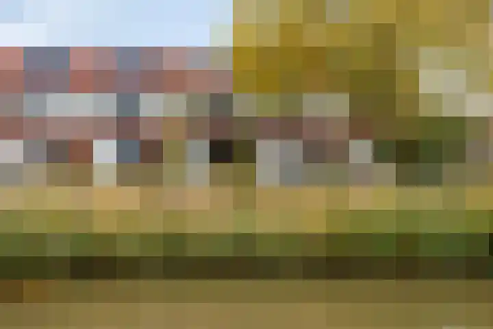 Willem Kloospad 17 's-Hertogenbosch thumbnail 36