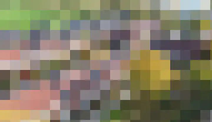 Willem Kloospad 17 's-Hertogenbosch thumbnail 43