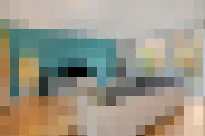 Willem Kloospad 17 's-Hertogenbosch thumbnail 8