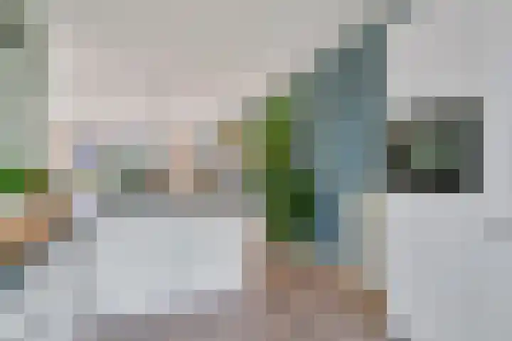 Willem Kloospad 37 's-Hertogenbosch thumbnail 12