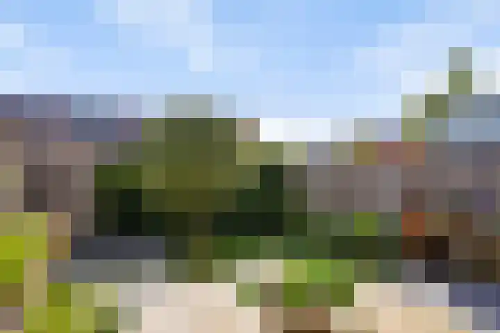 Willem Kloospad 37 's-Hertogenbosch thumbnail 15
