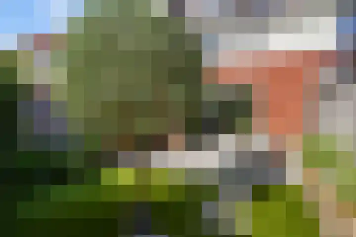 Willem Kloospad 37 's-Hertogenbosch thumbnail 16