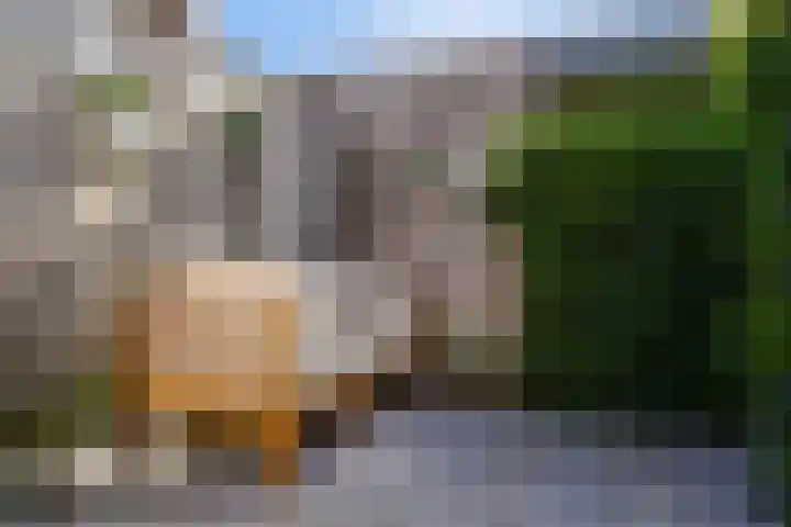 Willem Kloospad 37 's-Hertogenbosch thumbnail 17