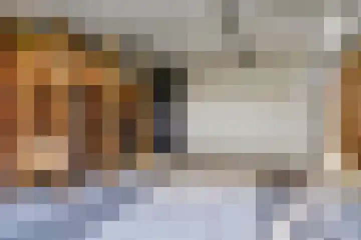 Willem Kloospad 37 's-Hertogenbosch thumbnail 18