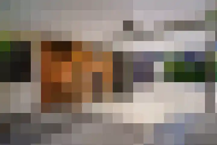 Willem Kloospad 37 's-Hertogenbosch thumbnail 19