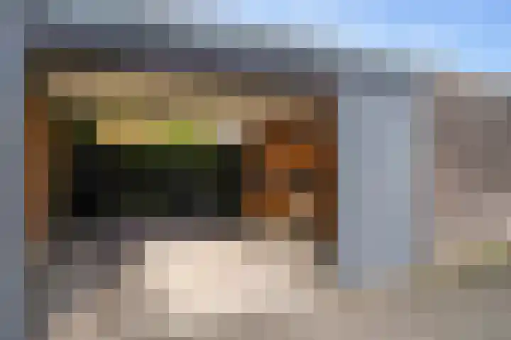 Willem Kloospad 37 's-Hertogenbosch thumbnail 20