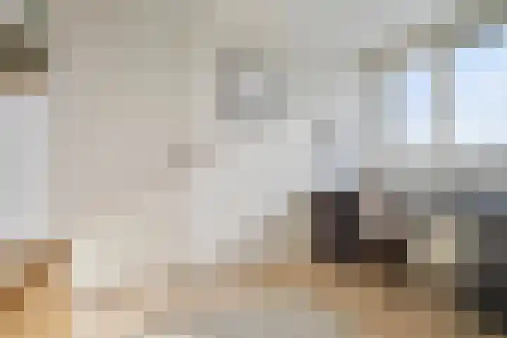 Willem Kloospad 37 's-Hertogenbosch thumbnail 38