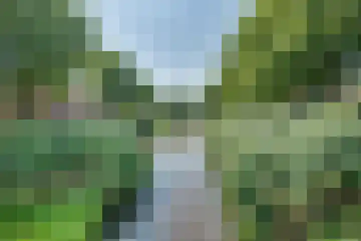 Willem Kloospad 37 's-Hertogenbosch thumbnail 43