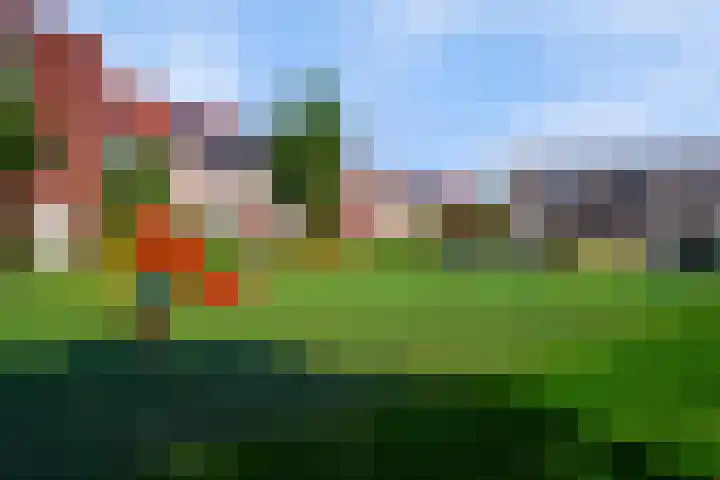 Willem Kloospad 37 's-Hertogenbosch thumbnail 45