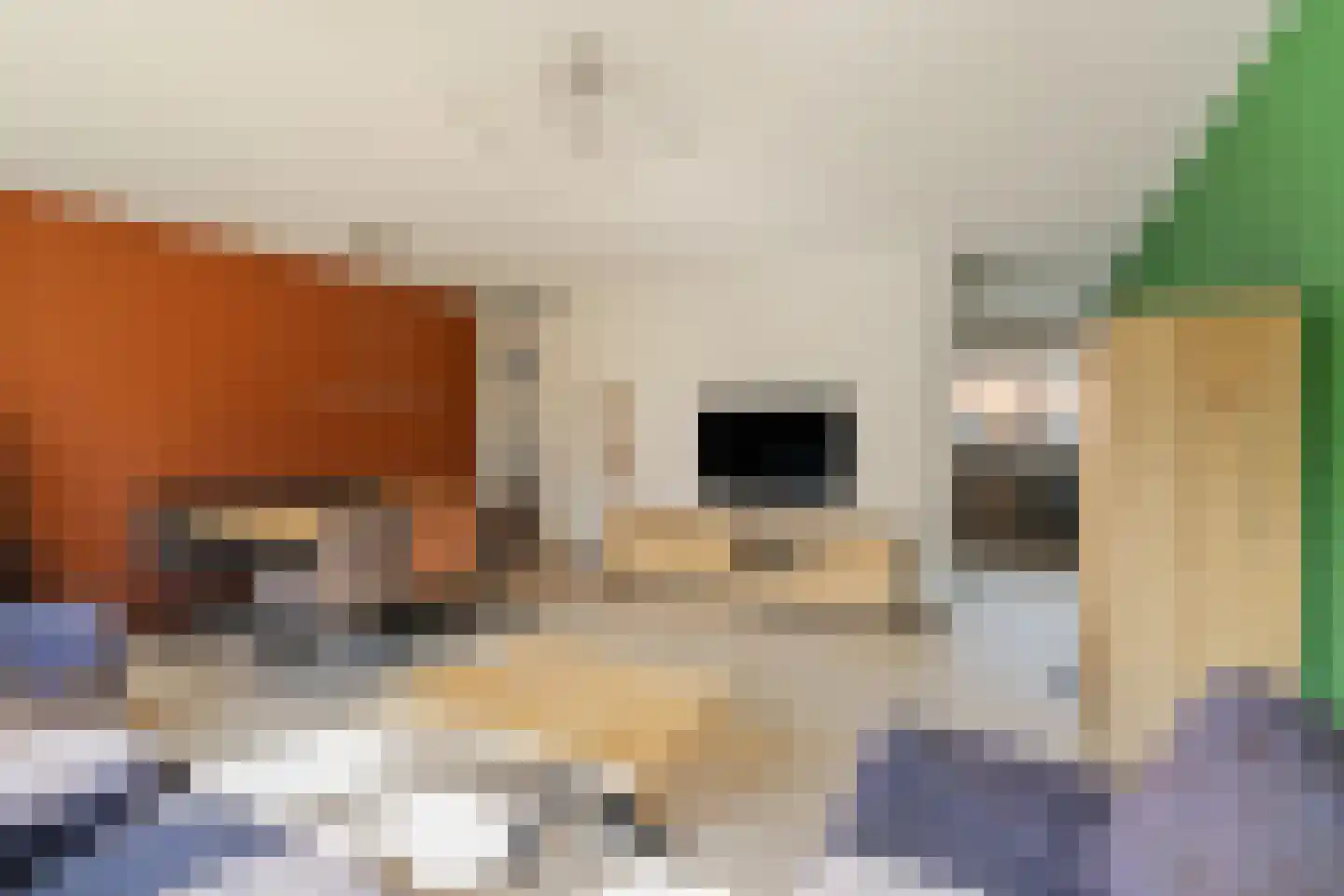 Willem Kloosstraat 15 Waddinxveen thumbnail 10