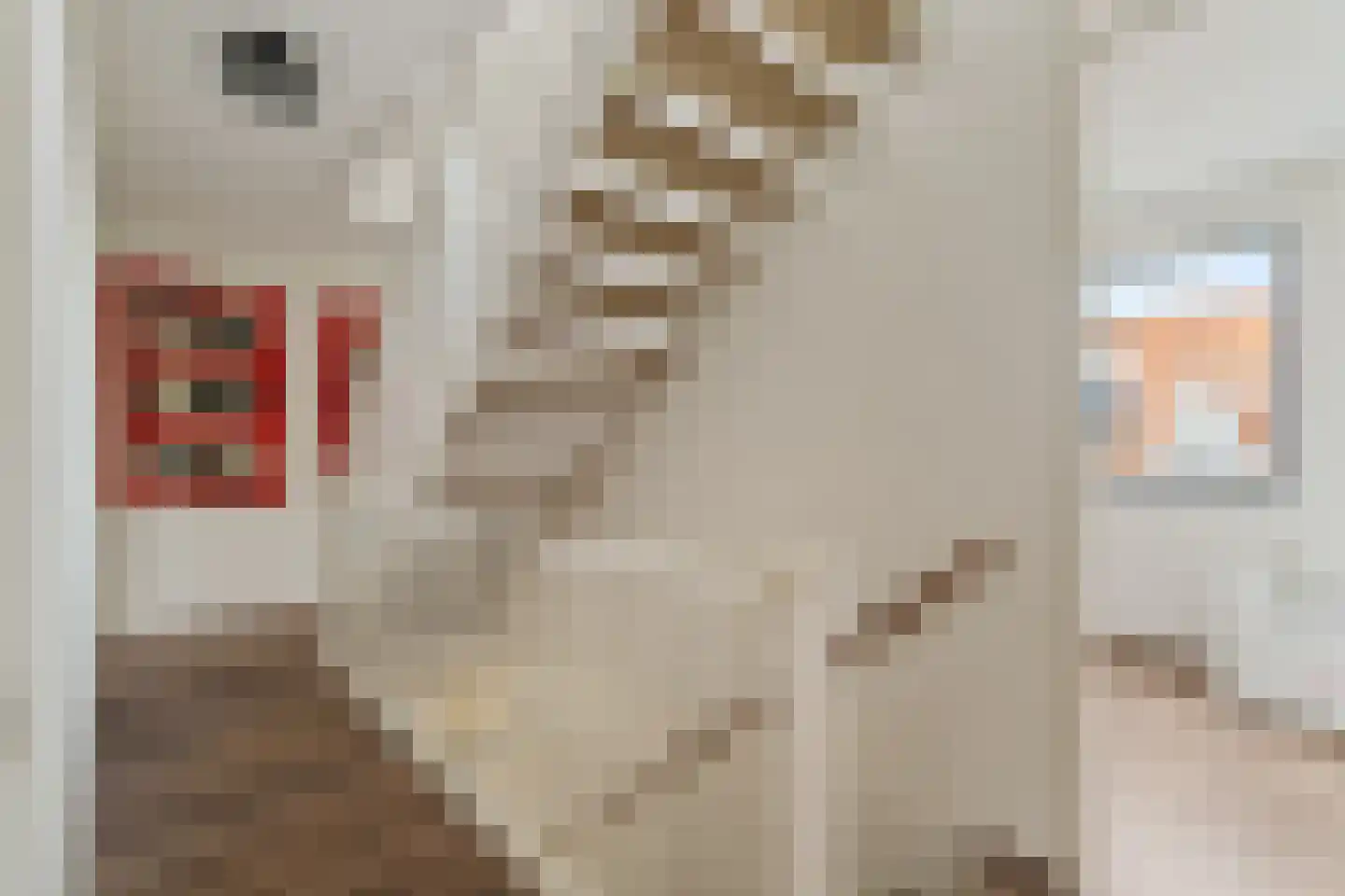 Willem Kloosstraat 15 Waddinxveen thumbnail 17